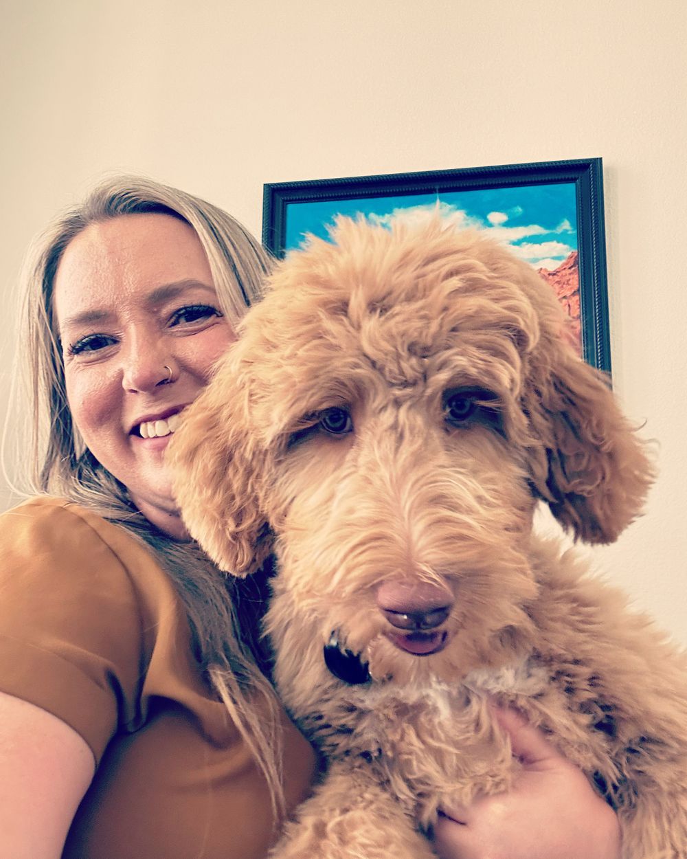 This is Zoey! She is my goldendoodle therapy dog in training!