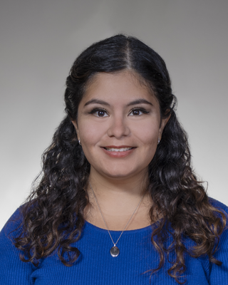 Photo of Monica Rioja-Grissom, Clinical Social Work/Therapist, LCSW