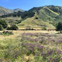 Gallery Photo of Another favorite movement therapy location, open space in the Los Padres National Forest.