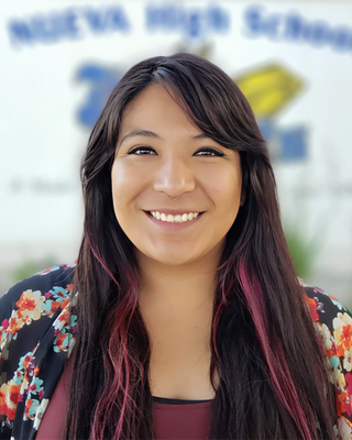 Photo of Denise Castro, Clinical Social Work/Therapist, LCSW
