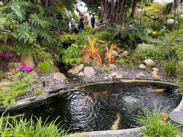 In the era of telehealth, I create a unique and specialized therapeutic space and safe garden where you can achieve your goals