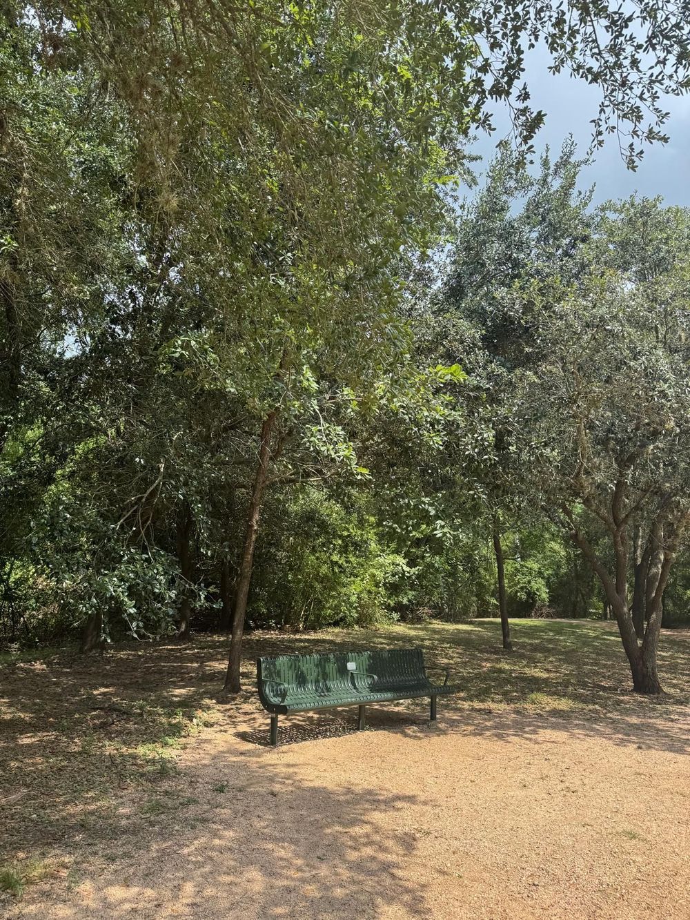 Walk-and-talk sessions blend movement, mindfulness, and therapeutic conversation in a calming outdoor setting.