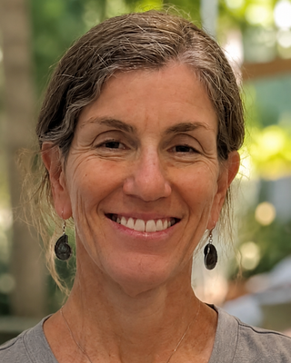 Photo of Shelley Schweitzer, Clinical Social Work/Therapist, LCSW, RPT-S