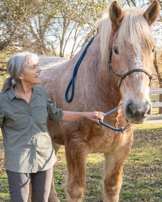 Photo of Meg Patterson - The Stable Relationship: Equine Assisted Therapy, Marriage & Family Therapist, LMFT