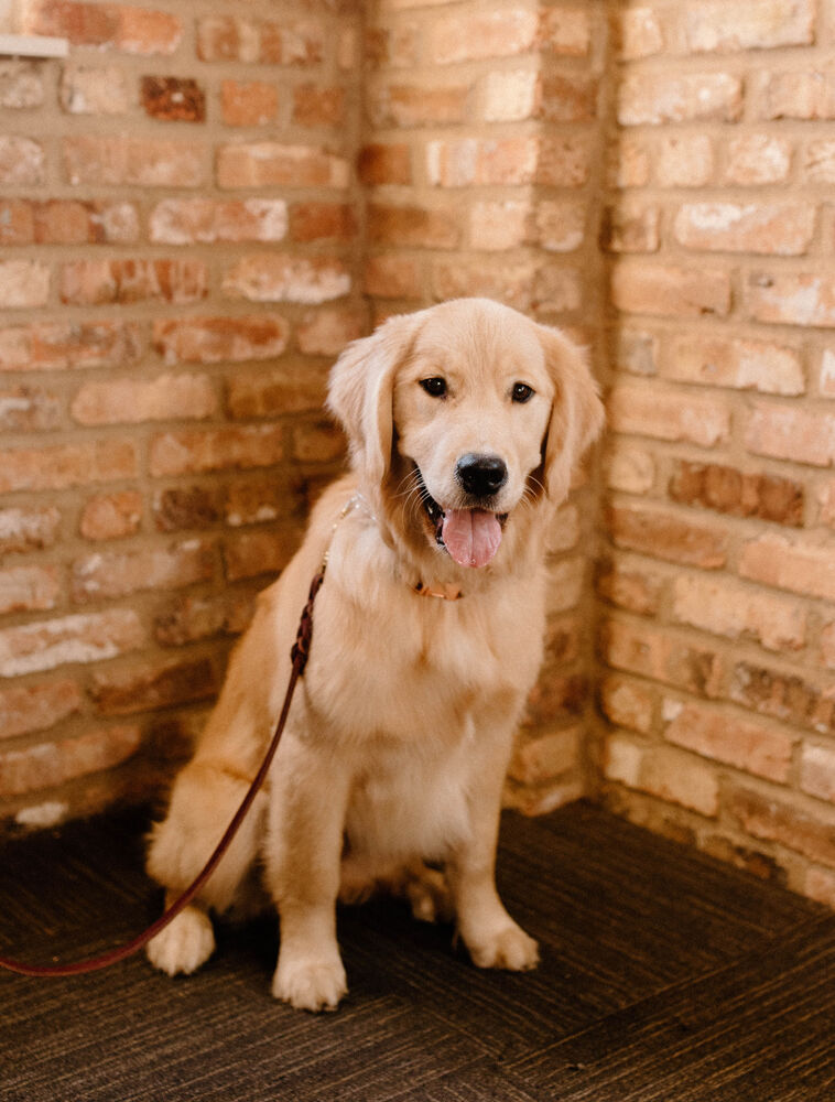 Willow Creek Counseling, Clinical Social Work/Therapist, Rockford, IL