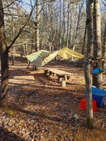 Gallery Photo of For nature-based sessions we have access to a private wooded area, with trails, natural tables, chairs and swings.