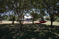 Gallery Photo of The trees in the backyard not only provide shade, but also anchoring points for hammocks!