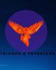 Photo of Triumph and Transcend LLC, Group Practice