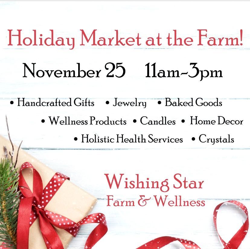 Come meet me at the Holiday Market on 11/25! I'll be there with Marissa Miars, and will be happy to schedule initial consultations!