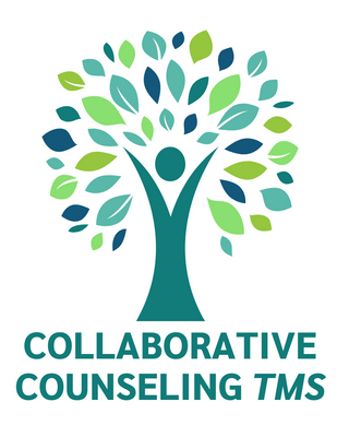 Photo of Brett Greenberger - Collaborative Counseling TMS, Treatment Center, MD