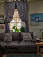 Gallery Photo of Psychotherapy Office in Rochester, NH