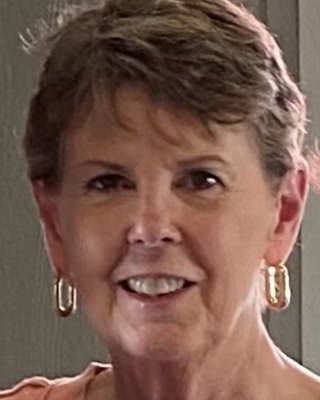 Photo of Ann E Hovest, MEd, LPCC, Counselor in Perrysburg