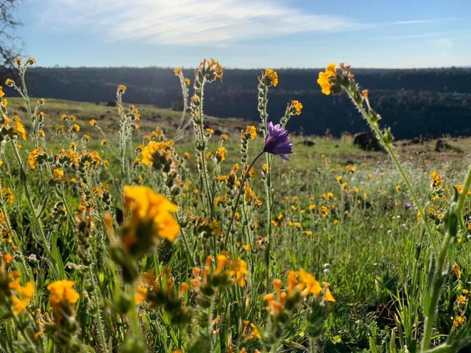 Dr Mark Chofla Empathy Therapy, Psychiatrist, Vancouver, WA, 98664