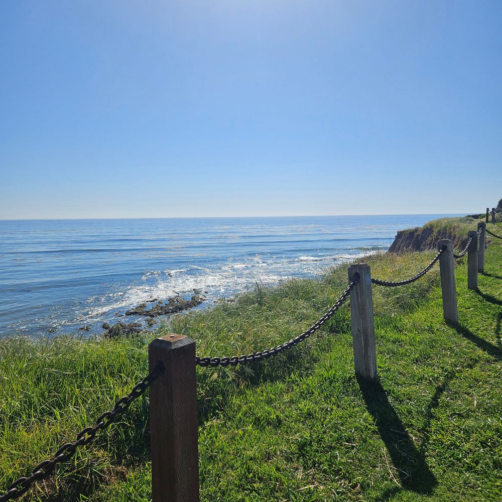Outdoor walk & talk sessions available