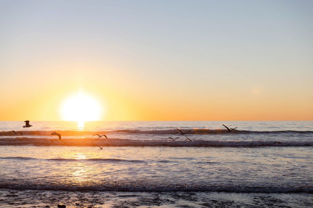 Shoma Rao, Marriage & Family Therapist, San Diego, CA, 92169 ...