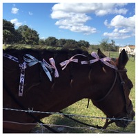 Gallery Photo of Equine Therapy Grief Group Experience