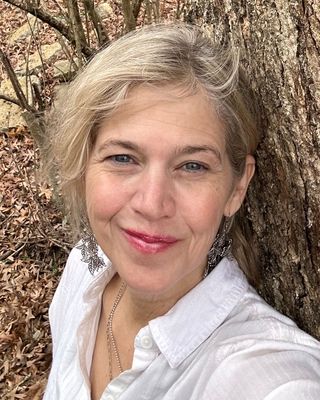 Photo of Dawn Casey-Chiles, LCSW, CHT