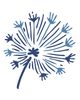 Serenity Psychotherapy Group, LLC