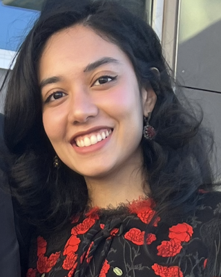 Photo of Misha Qadri, Licensed Professional Counselor Associate, LPC-A