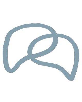 Photo of Nikki Sedaghat - Sedâ Psychotherapy, Registered Psychotherapist