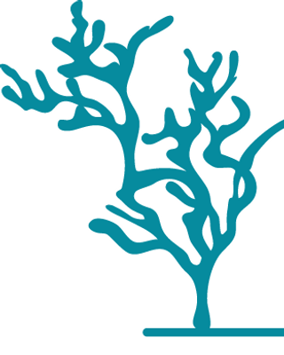 Photo of Coral Shores - Branches - Coral Shores