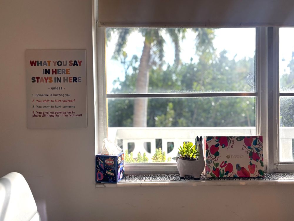 Your virtual officer view!