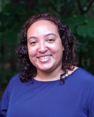 Photo of Sara Megeed, Clinical Social Work/Therapist, MSW, LCSW, LCAS, NARM