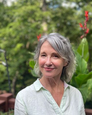 Photo of Diane Cecelia Jauch, Clinical Social Work/Therapist, LCSW, LISW-CP