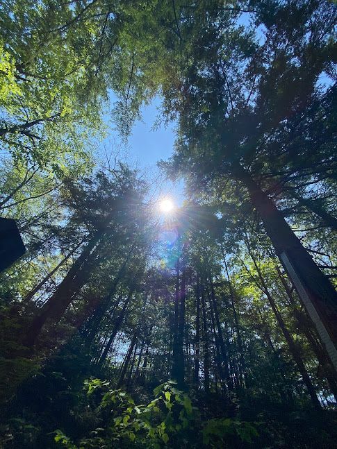 Being virtual allows me to be outside and use nature as a natural background. My clients find it to be inviting and calming. 