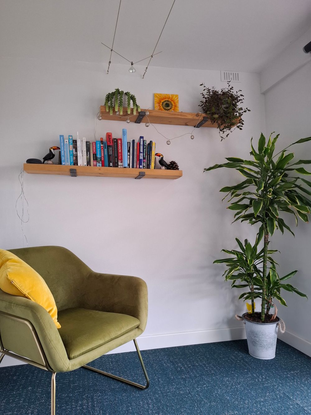 Bridgwater therapy room