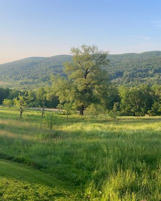 Photo of Erika Baluk-Shepardson, Counselor, LMHC