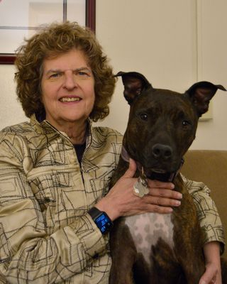 Photo of Terri Ilene Medwed - Clarity Counseling Services, Counselor, LCPC