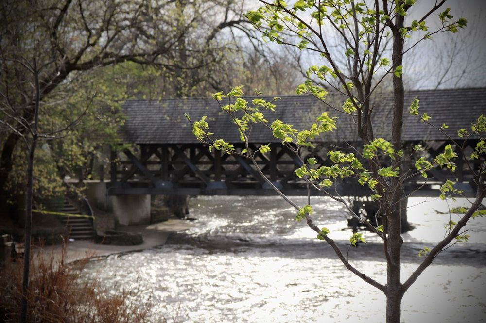 Dr. Erika Steinbrenner, MD, Psychiatrist, Chicago, IL, 60603