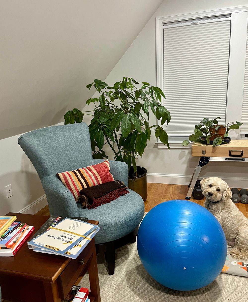 Telehealth office