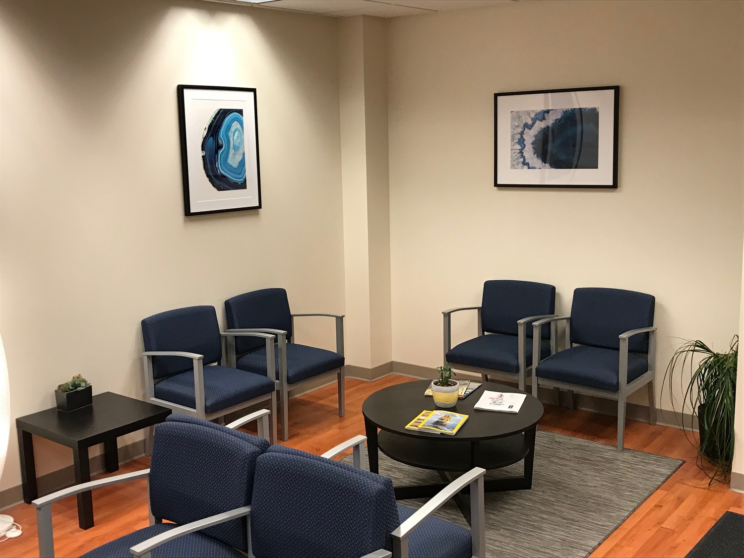 Lott Behavioral Health and Springview Ketamine, Psychiatrist, Lisle, IL