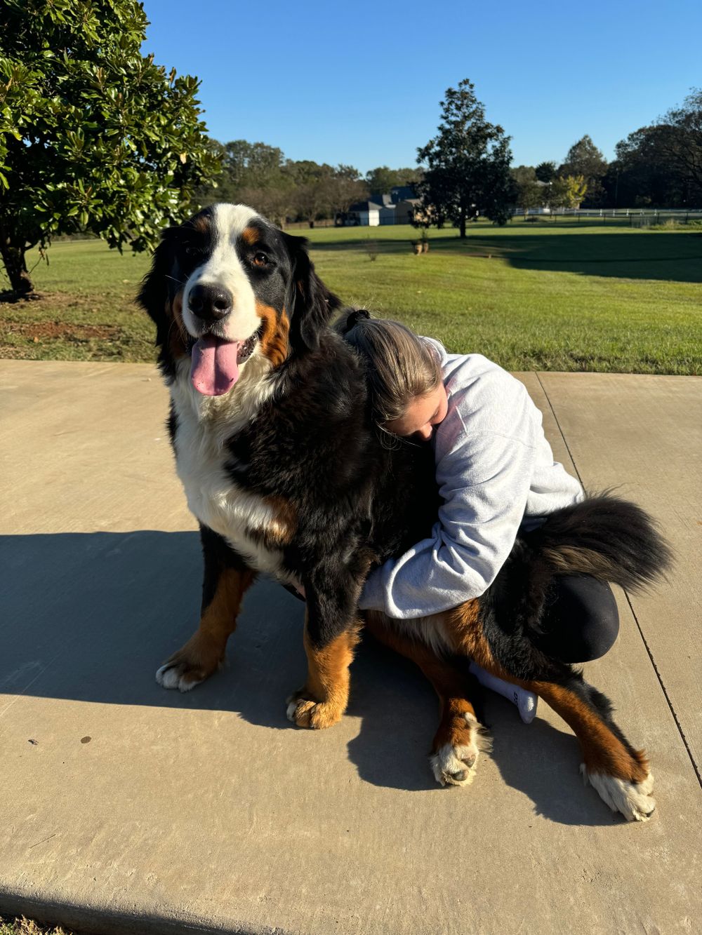 This is Cassie! She is currently in training to become a therapy pet and will soon assist with providing emotional regulation services