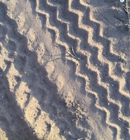 Gallery Photo of Tire tracks, bosque ditch-bank