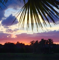 Gallery Photo of Magical Florida Sunset