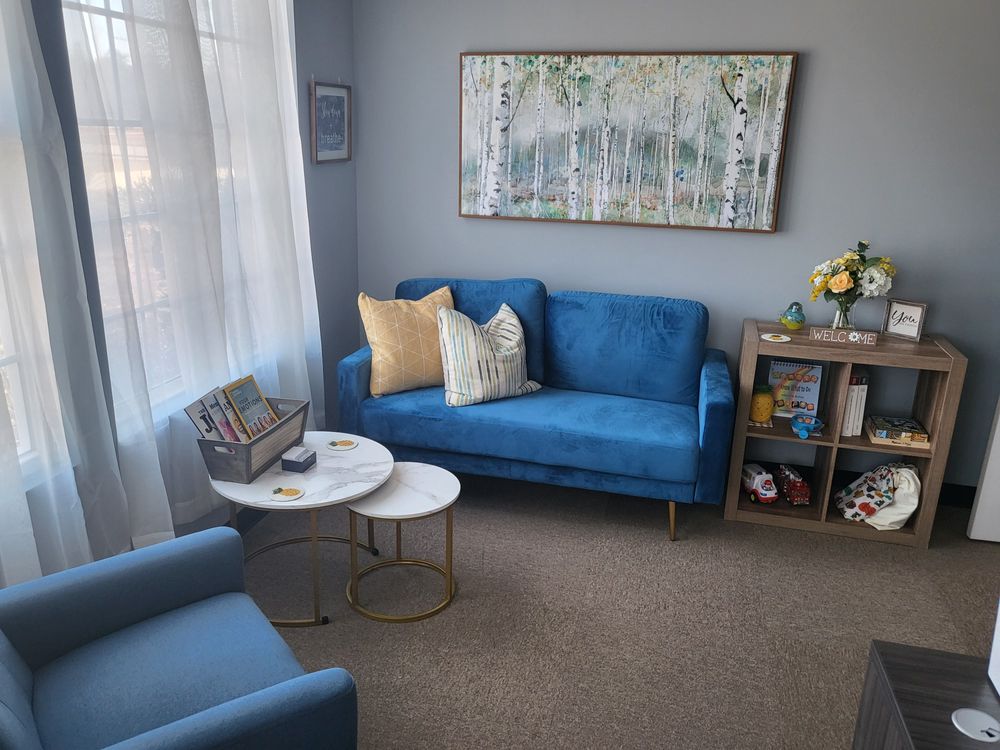 Comfortable and private office space in Sparta NC, Virtual Therapy in SC