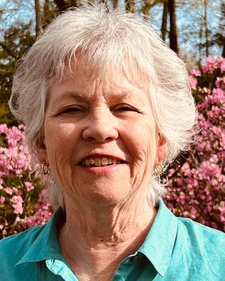Photo of Janie K Ginter, Clinical Social Work/Therapist, LISW
