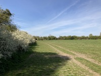 Gallery Photo of Area I use for Walk & Talk therapy, combining the outcomes of indoor therapy with the known benefits of connecting with the natural world