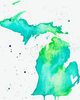 Michigan Mental Health and Recovery