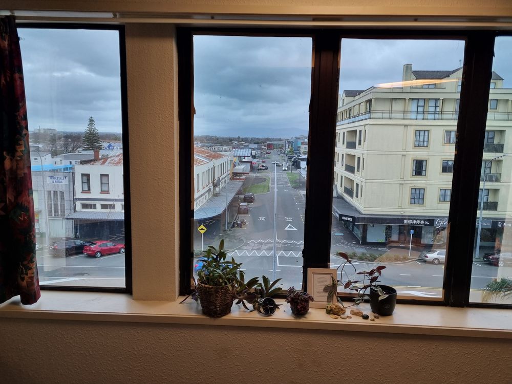 A view from the window