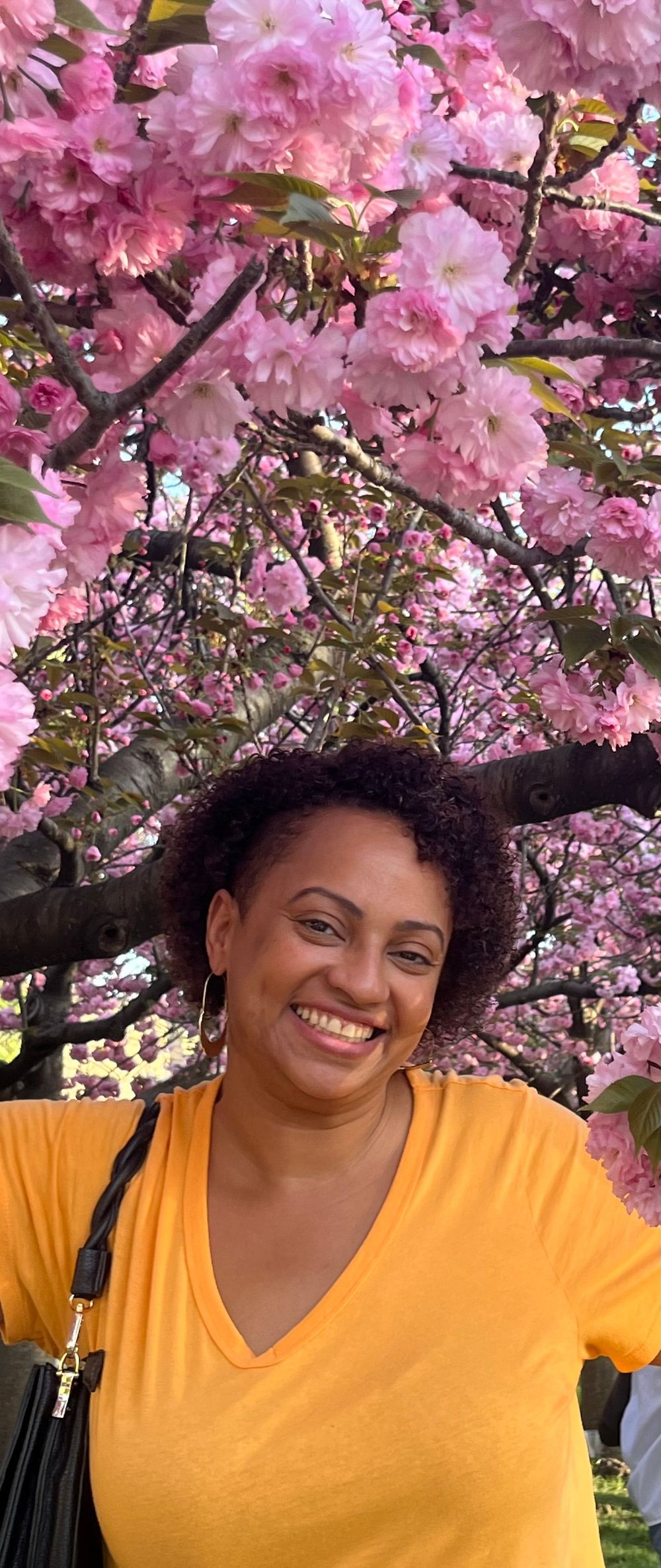 Cherry Blossoms make me smile ! 