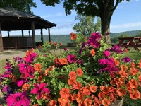 Gallery Photo of Beautiful flowers outside patio of cafe'