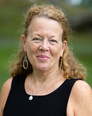 Photo of Barbara Van Zoeren LICSW, Clinical Social Work/Therapist in Waterfront, Boston, MA
