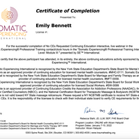Gallery Photo of Somatic Experiencing certificate