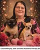 Counselling by Jane & Animal Assisted Therapy