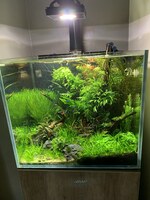 Gallery Photo of clients find the aquascape in my counselling room relaxing