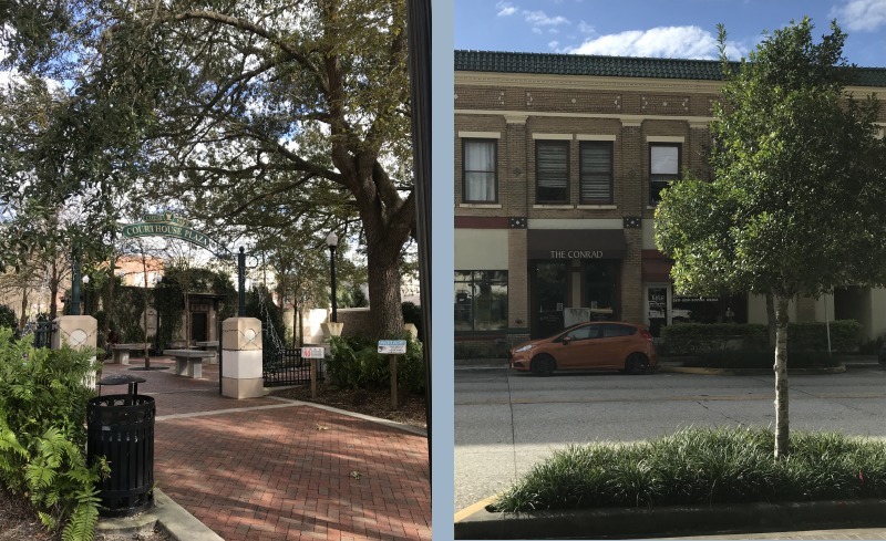 Gallery Photo of The office is in downtown DeLand in The Conrad. It is next to a park and a relaxing water fountain feature.